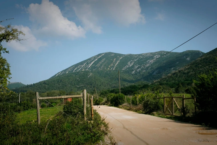 Terreno para Venda em Azeitão (São Lourenço e São Simão) Foto 14