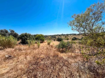 Quinta T0 para Venda em Lagoa e Carvoeiro