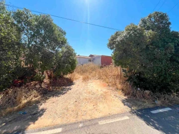 Quinta T0 para Venda em Lagoa e Carvoeiro