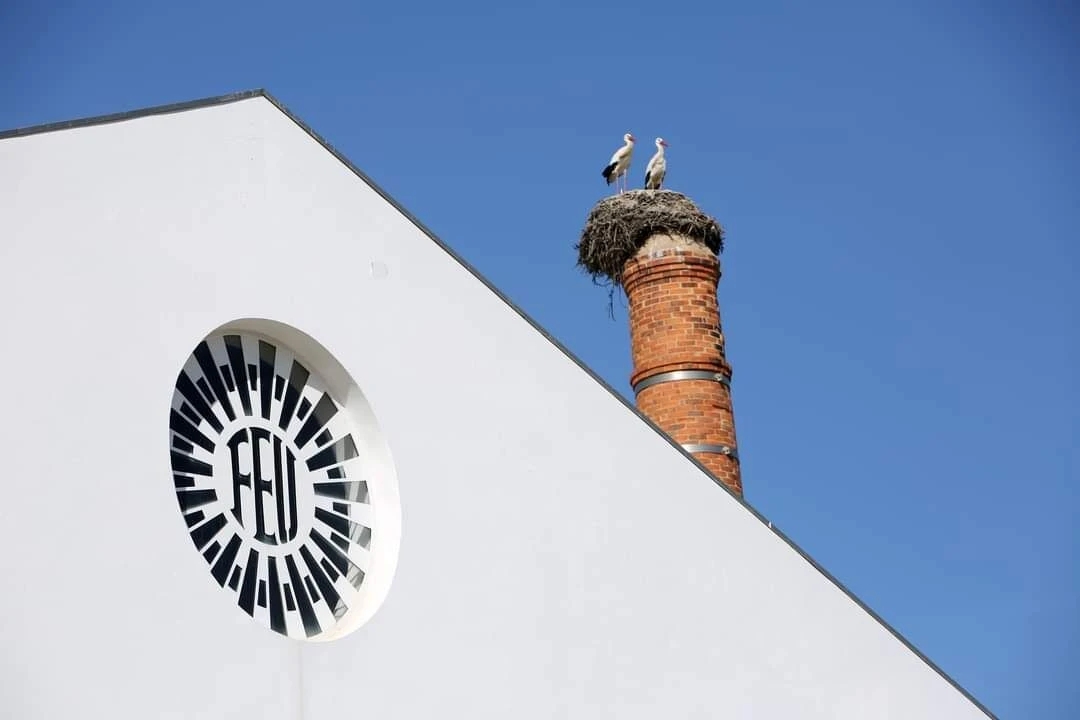 Loja para Venda em Portimão Foto 14