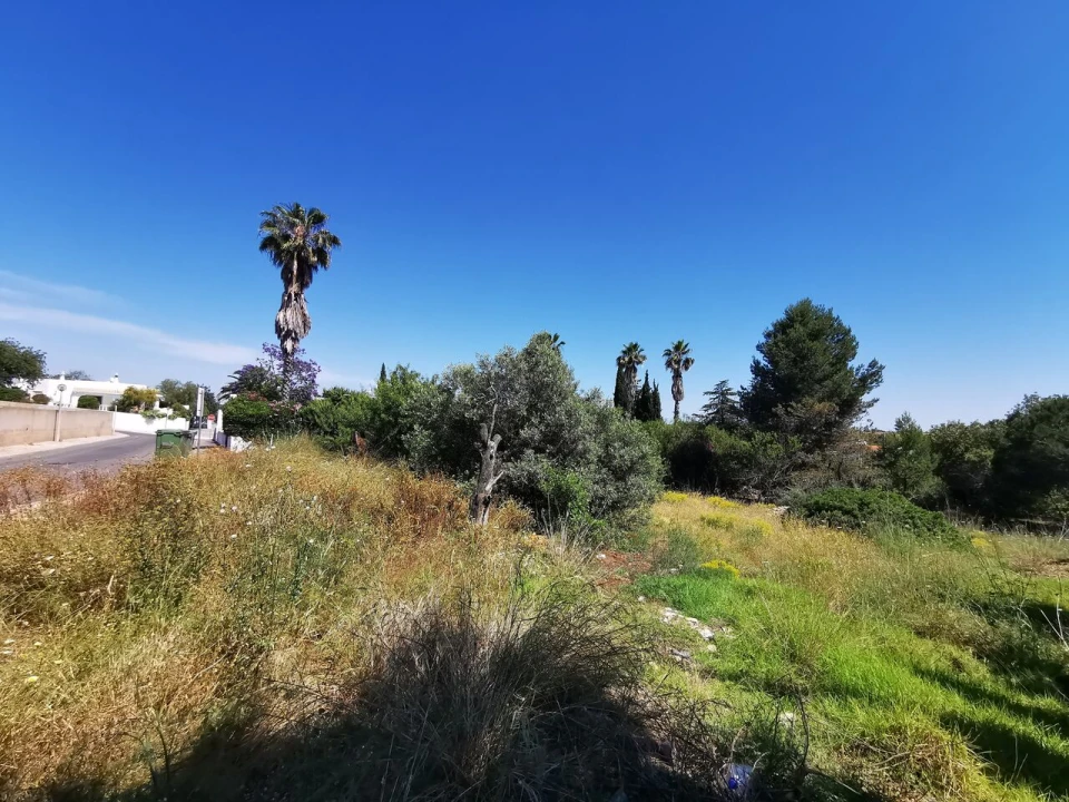 Terreno para Venda em Lagoa e Carvoeiro Foto 8