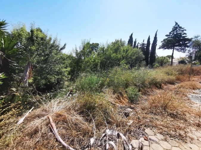 Terreno para Venda em Lagoa e Carvoeiro Foto 4