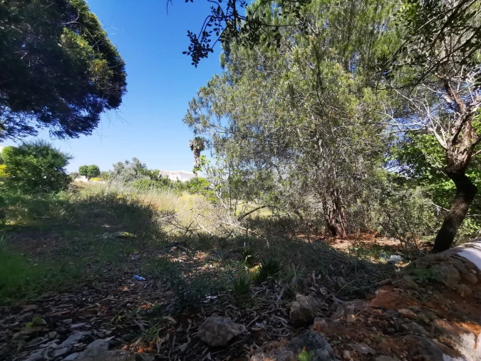 Terreno para Venda em Lagoa e Carvoeiro Foto 9