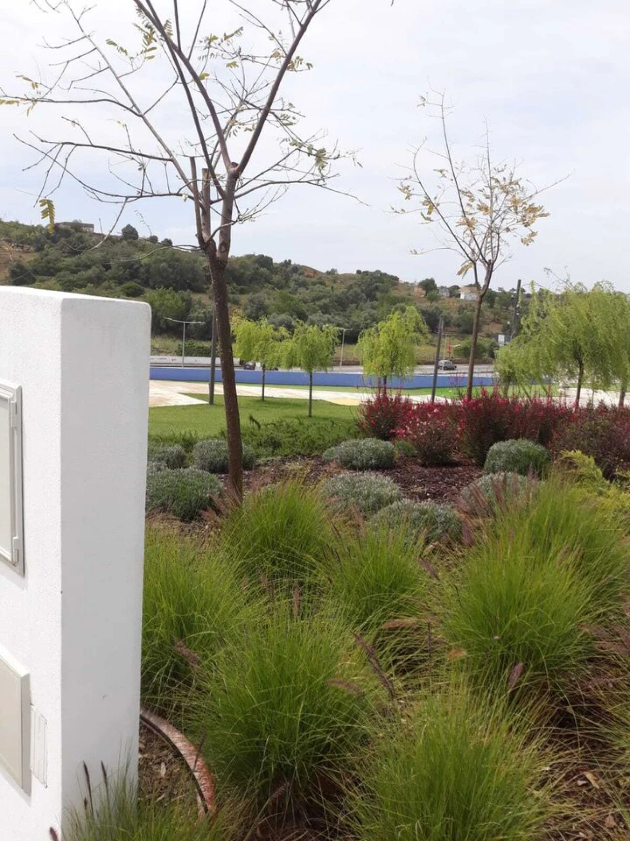 Terreno para Venda em Estômbar e Parchal Foto 2