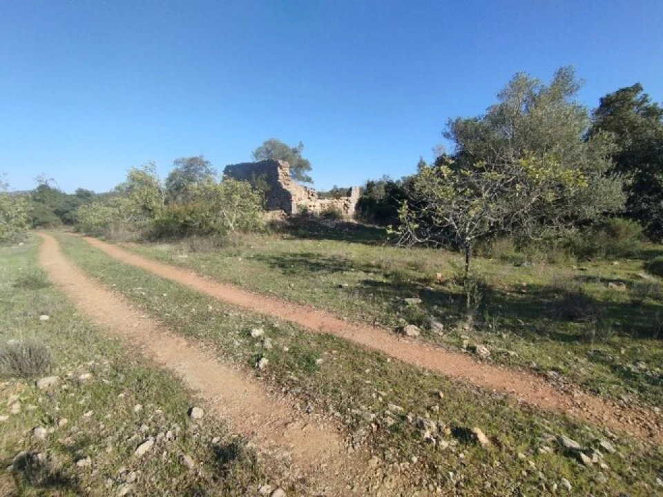 Terreno para Venda em Loule (São Clemente) Foto 1