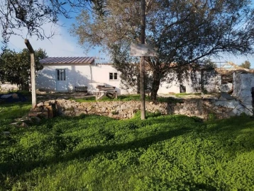 Terreno para Venda em Conceição e Estoi