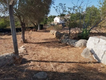 Terreno para Venda em Conceição e Estoi