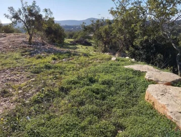 Terreno para Venda em Loule (São Clemente)