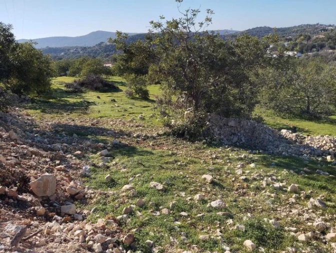 Terreno para Venda em Loule (São Clemente) Foto 4