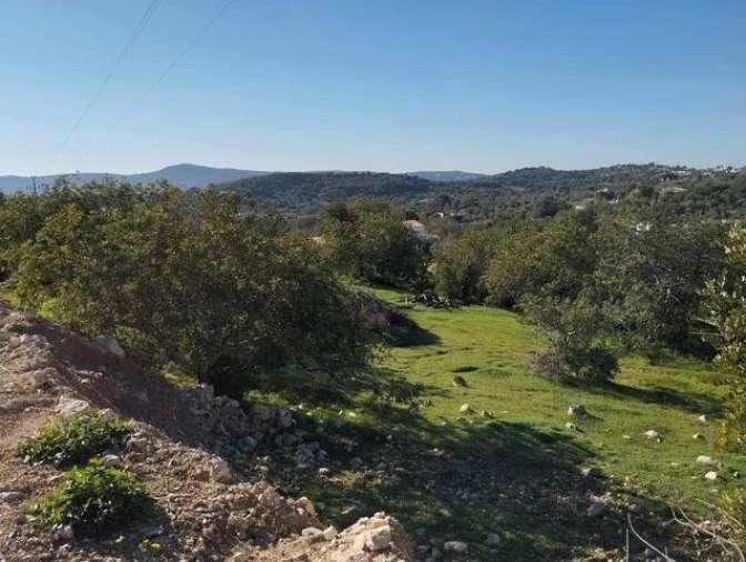 Terreno para Venda em Loule (São Clemente) Foto 6