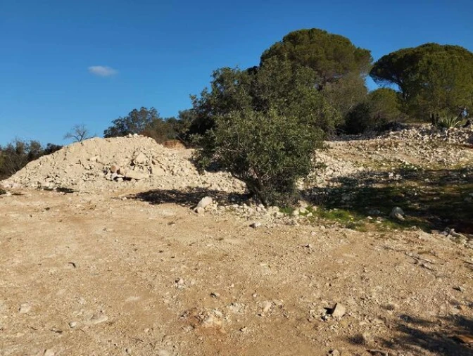 Terreno para Venda em Loule (São Clemente) Foto 8
