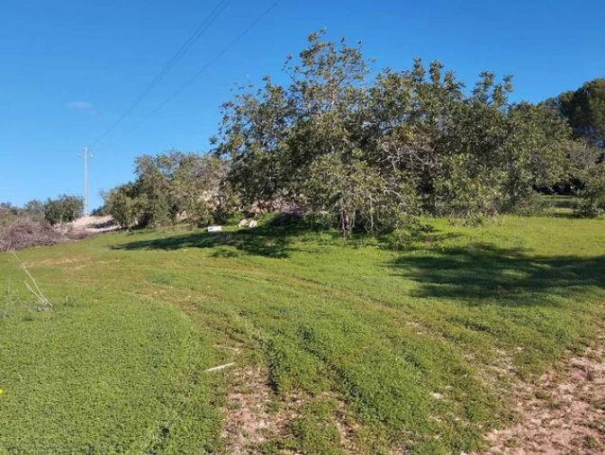 Terreno para Venda em Loule (São Clemente) Foto 9
