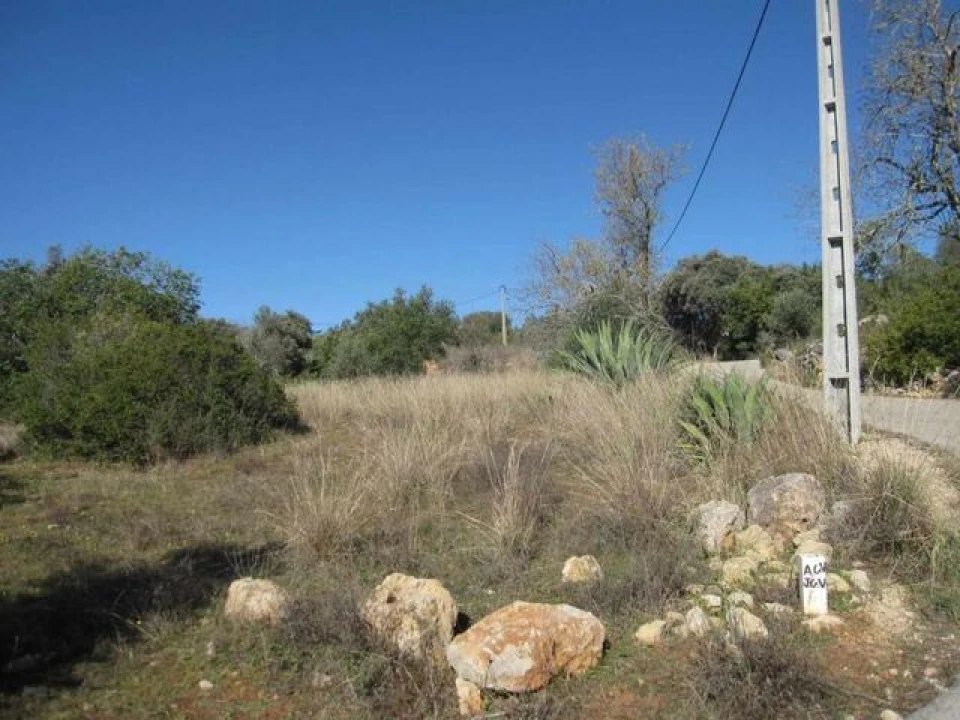 Terreno para Venda em Loule (São Clemente) Foto 4