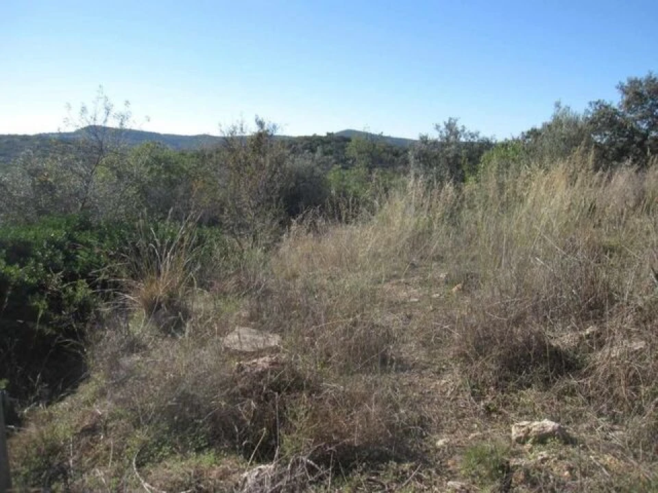 Terreno para Venda em Loule (São Clemente) Foto 2