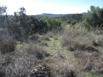 Terreno para Venda em Loule (São Clemente)