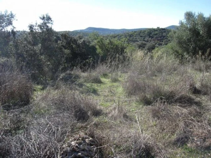 Terreno para Venda em Loule (São Clemente) Foto 6