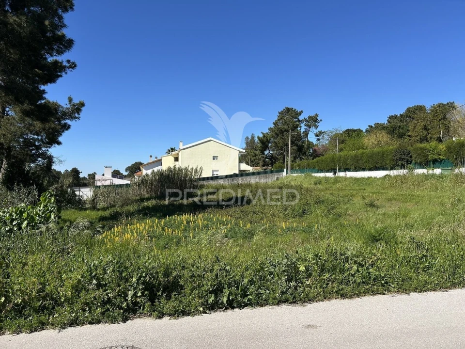 Terreno para Venda em Azeitão (São Lourenço e São Simão) Foto 16