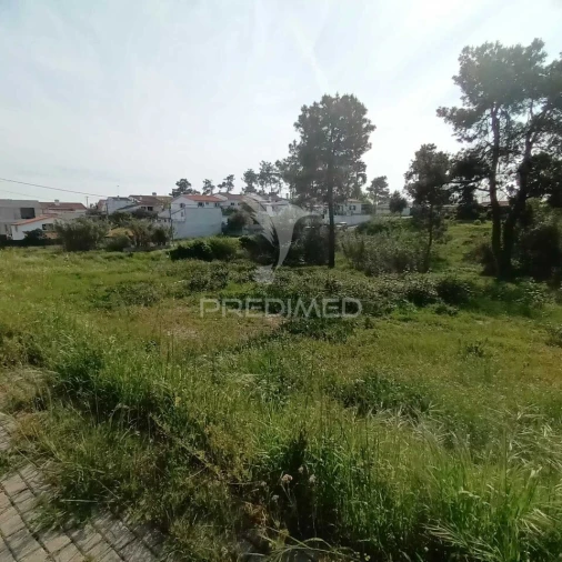 Terreno para Venda em Azeitão (São Lourenço e São Simão) Foto 11