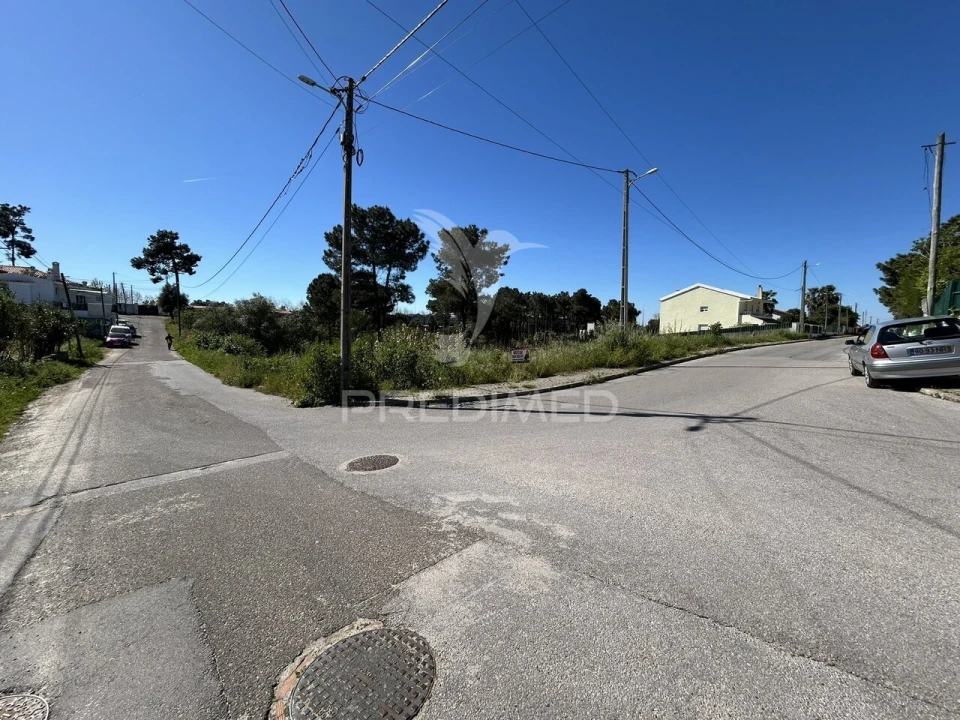 Terreno para Venda em Azeitão (São Lourenço e São Simão) Foto 14