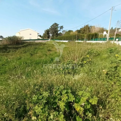 Terreno para Venda em Azeitão (São Lourenço e São Simão) Foto 2