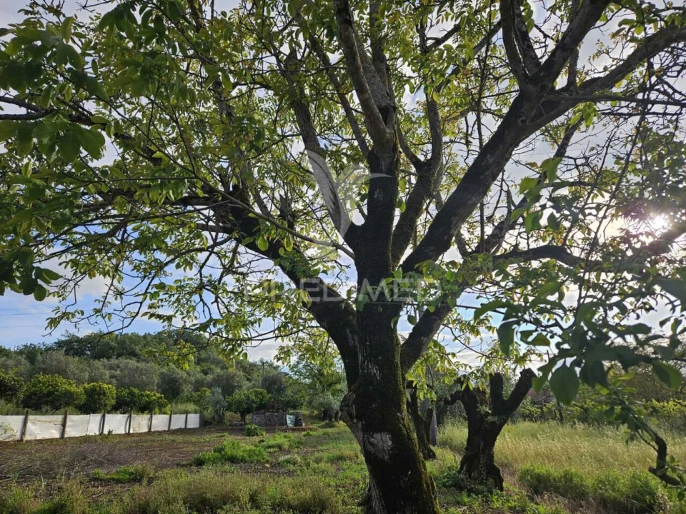 Moradia T2 para Venda em Areias e Pias Foto 9