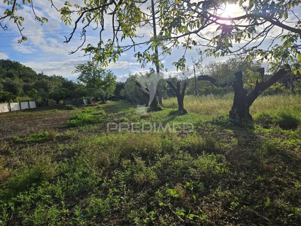 Moradia T2 para Venda em Areias e Pias Foto 10