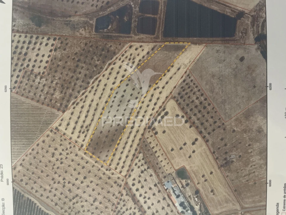 Terreno para Venda em Alfundão e Peroguarda Foto 17