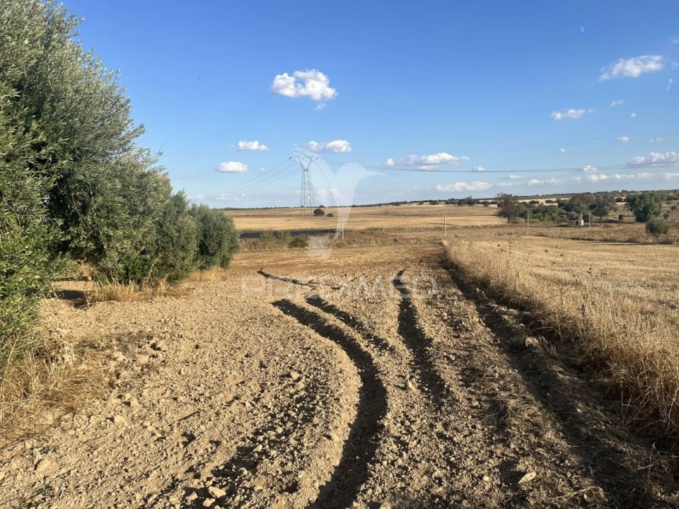 Terreno para Venda em Alfundão e Peroguarda Foto 5