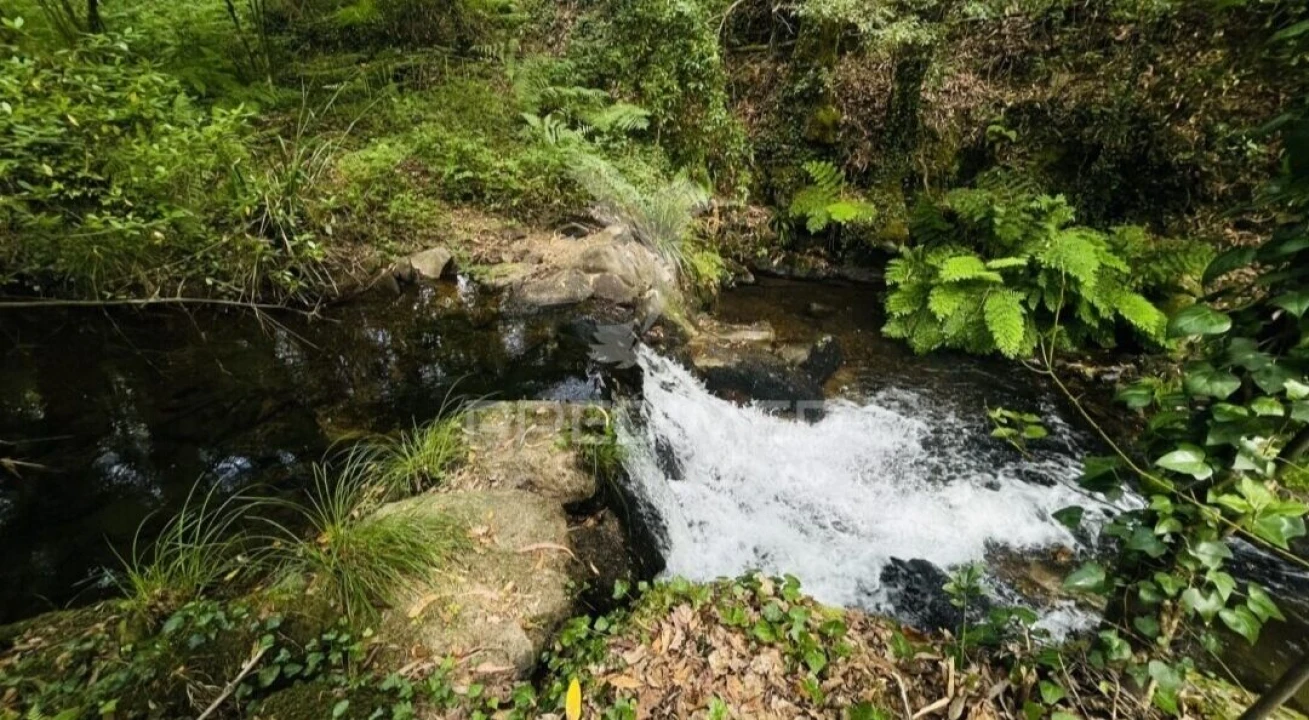 Terreno para Venda em Figueiró dos Vinhos e Bairradas Foto 6
