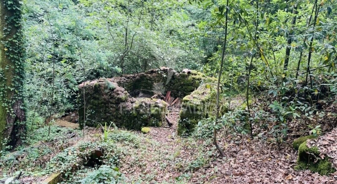 Terreno para Venda em Figueiró dos Vinhos e Bairradas Foto 1