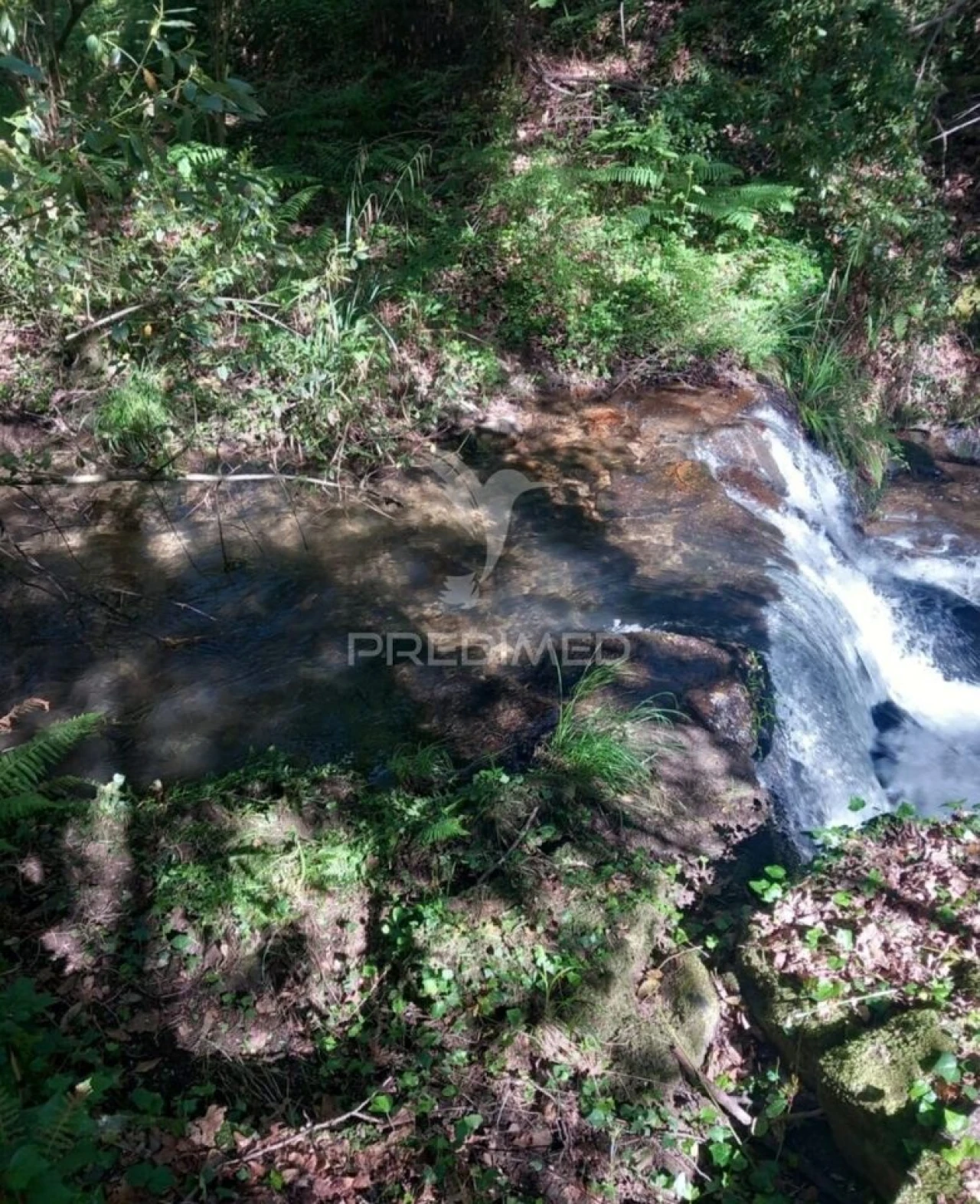 Terreno para Venda em Figueiró dos Vinhos e Bairradas Foto 2