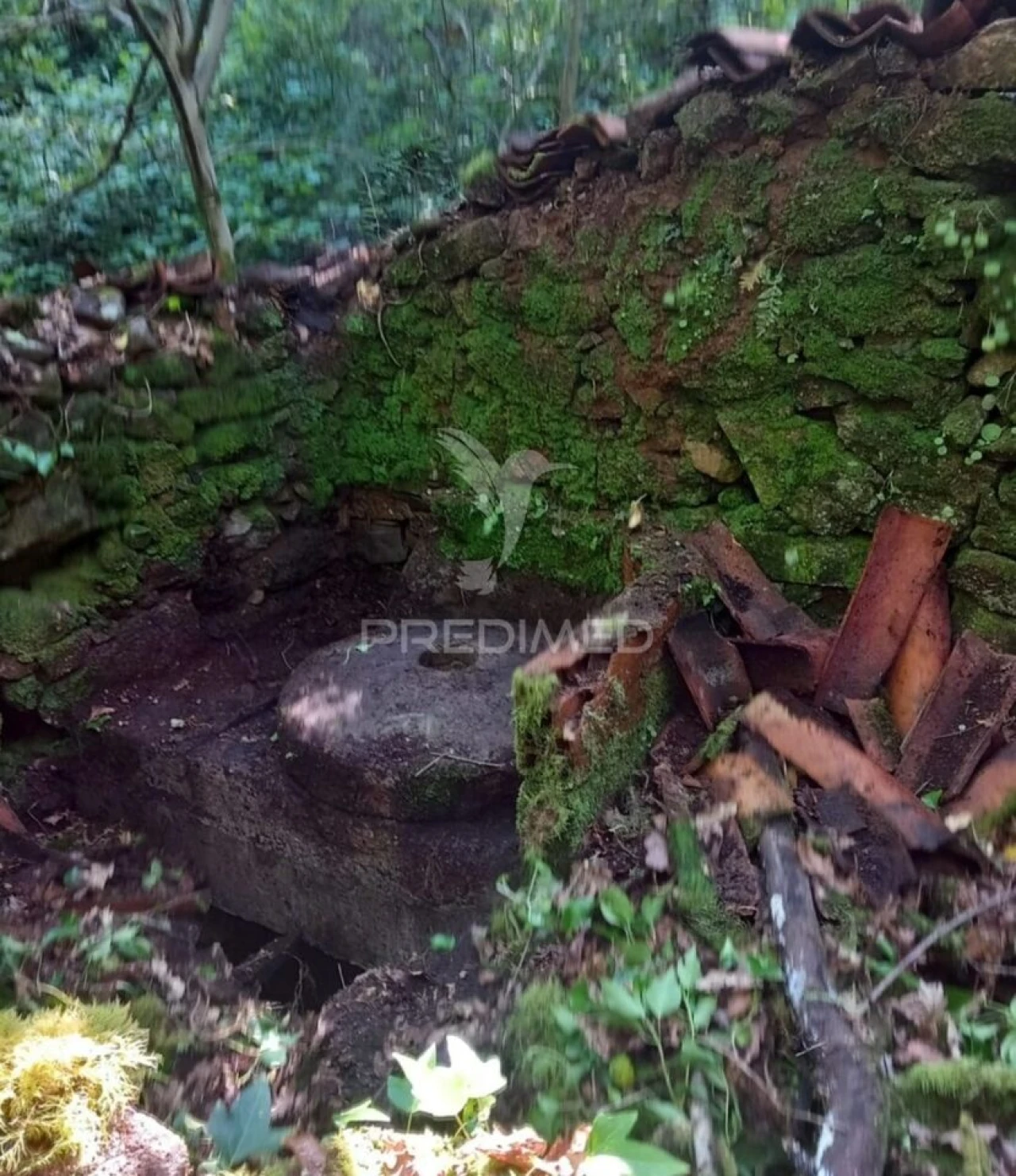 Terreno para Venda em Figueiró dos Vinhos e Bairradas Foto 8