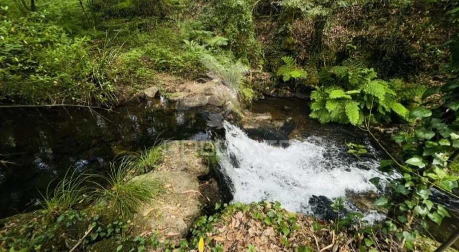 Terreno para Venda em Figueiró dos Vinhos e Bairradas Foto 6