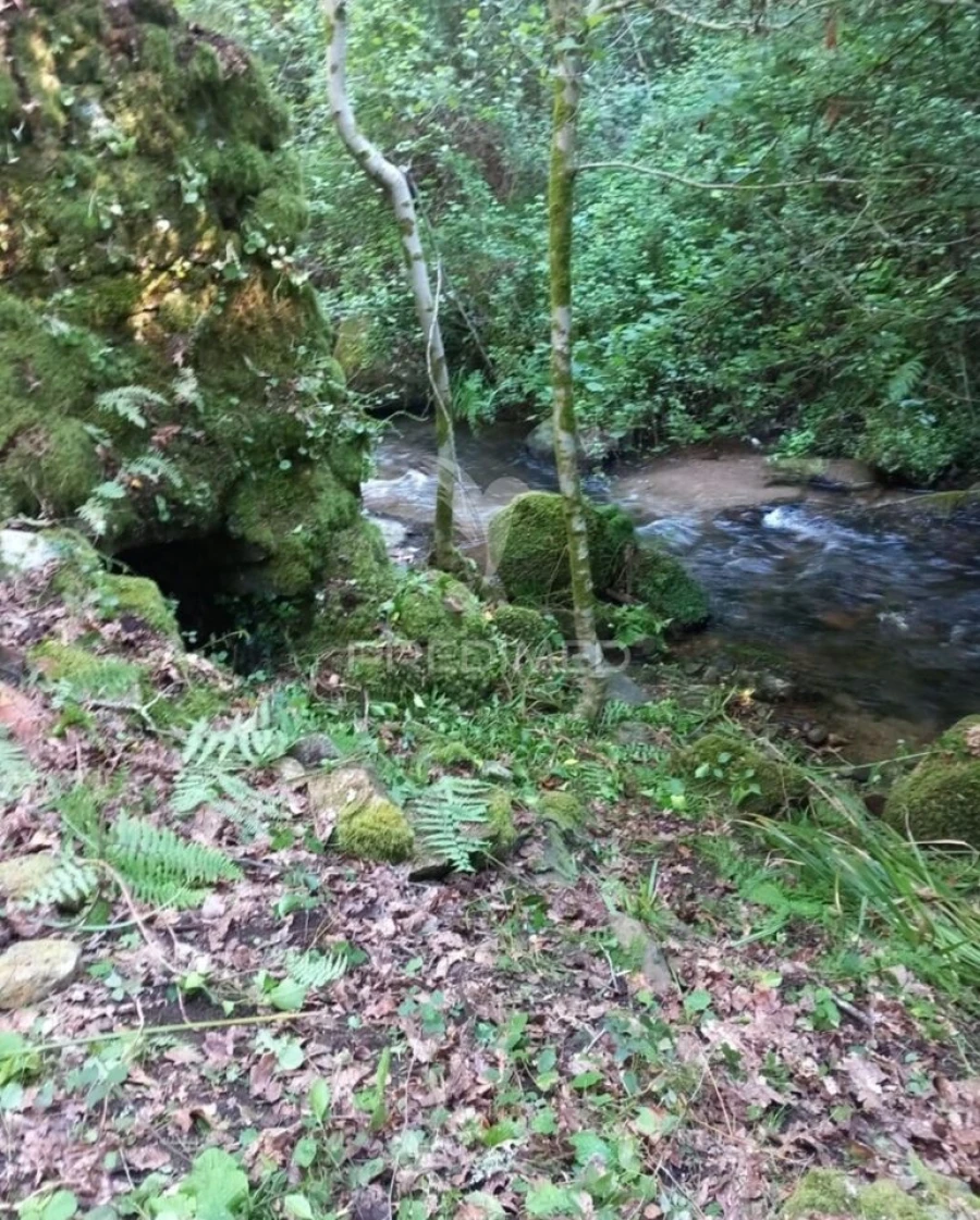 Terreno para Venda em Figueiró dos Vinhos e Bairradas Foto 10