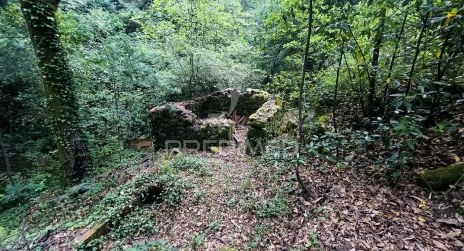 Terreno para Venda em Figueiró dos Vinhos e Bairradas Foto 7