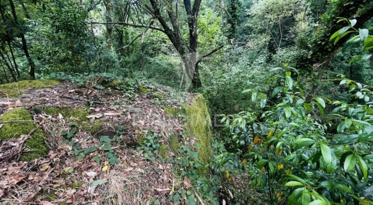 Terreno para Venda em Figueiró dos Vinhos e Bairradas Foto 9