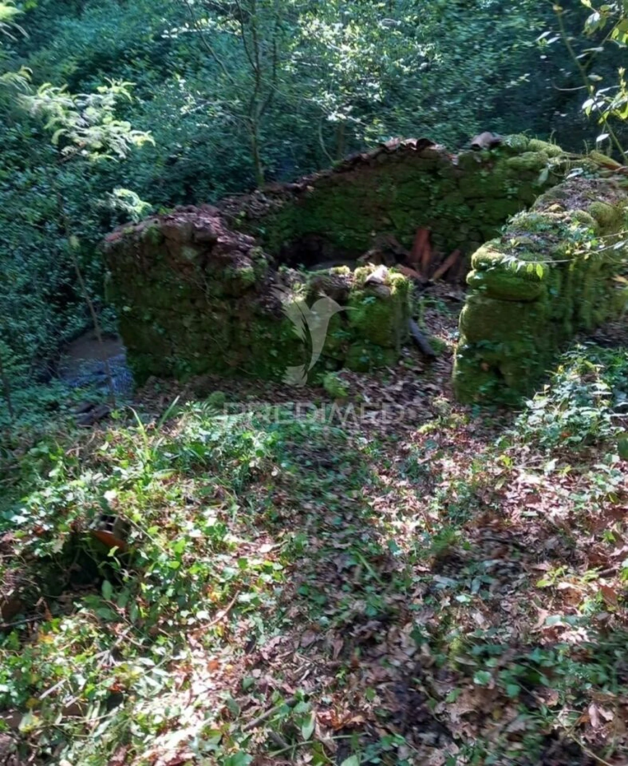 Terreno para Venda em Figueiró dos Vinhos e Bairradas Foto 11