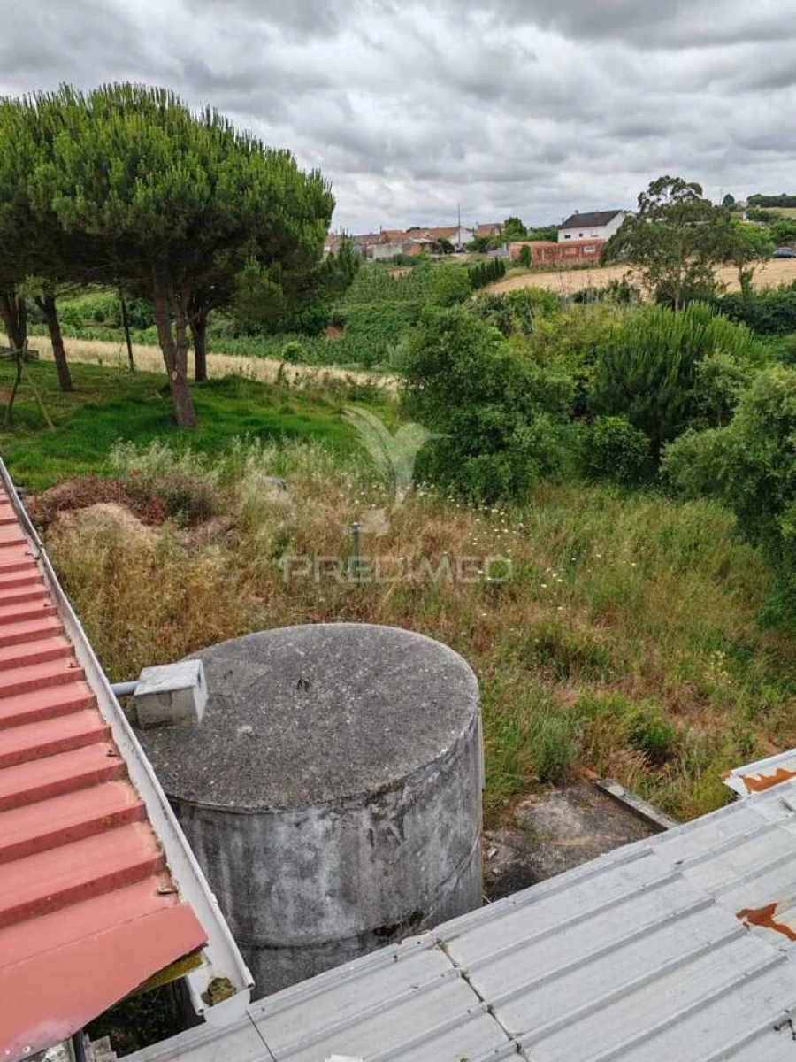 Armazém para Arrendamento em Alcobaça e Vestiaria Foto 10