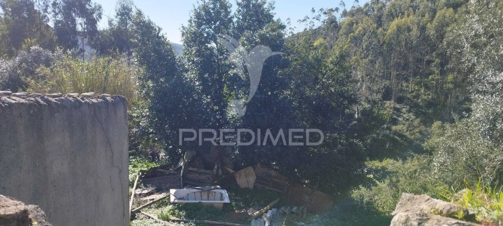 Moradia T3 para Venda em Santa Maria, São Pedro e Matacães Foto 6