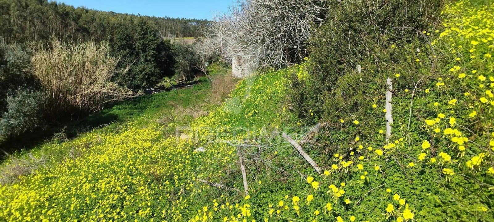 Moradia T3 para Venda em Santa Maria, São Pedro e Matacães Foto 8