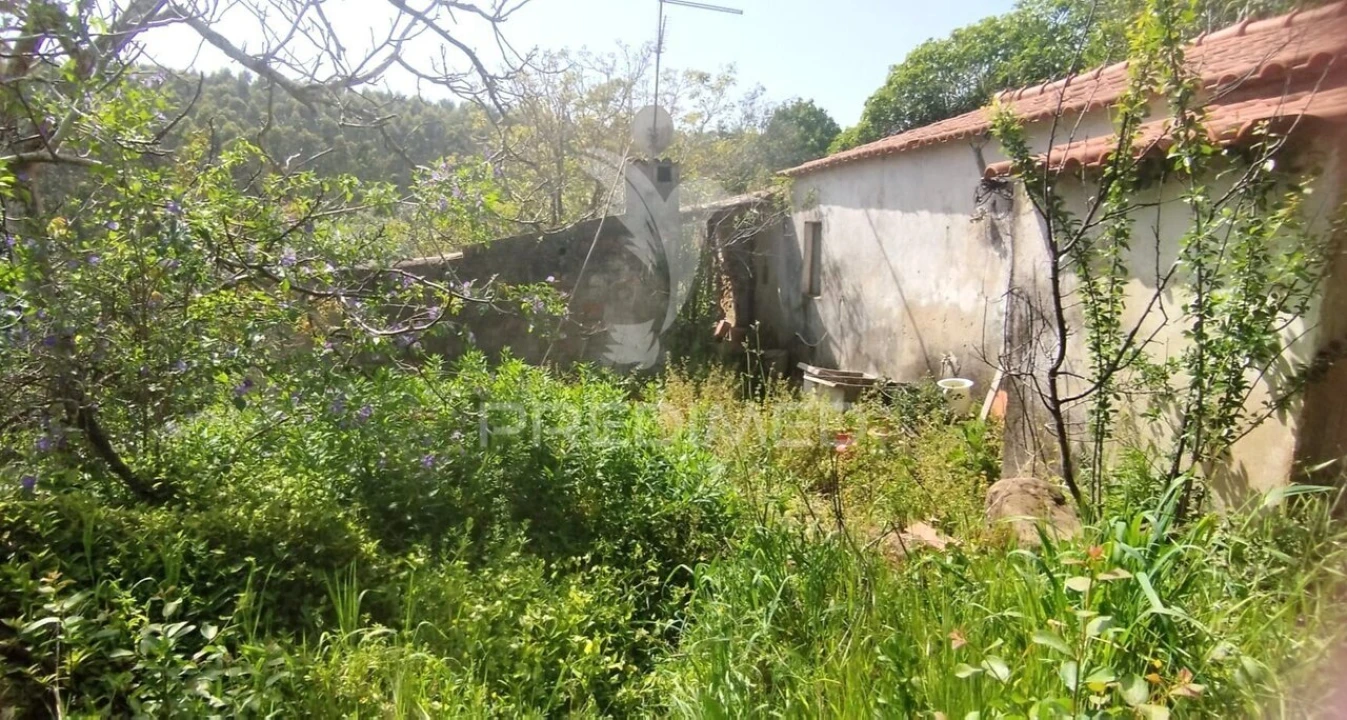 Moradia T3 para Venda em Santa Maria, São Pedro e Matacães Foto 9