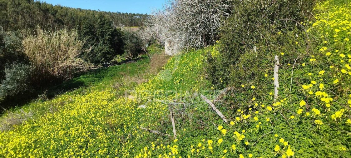 Moradia T3 para Venda em Santa Maria, São Pedro e Matacães Foto 8
