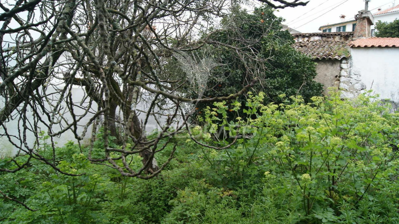 Moradia T6 para Venda em Ribeira de Nisa e Carreiras Foto 12