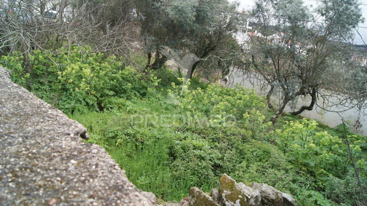 Moradia T6 para Venda em Ribeira de Nisa e Carreiras Foto 8