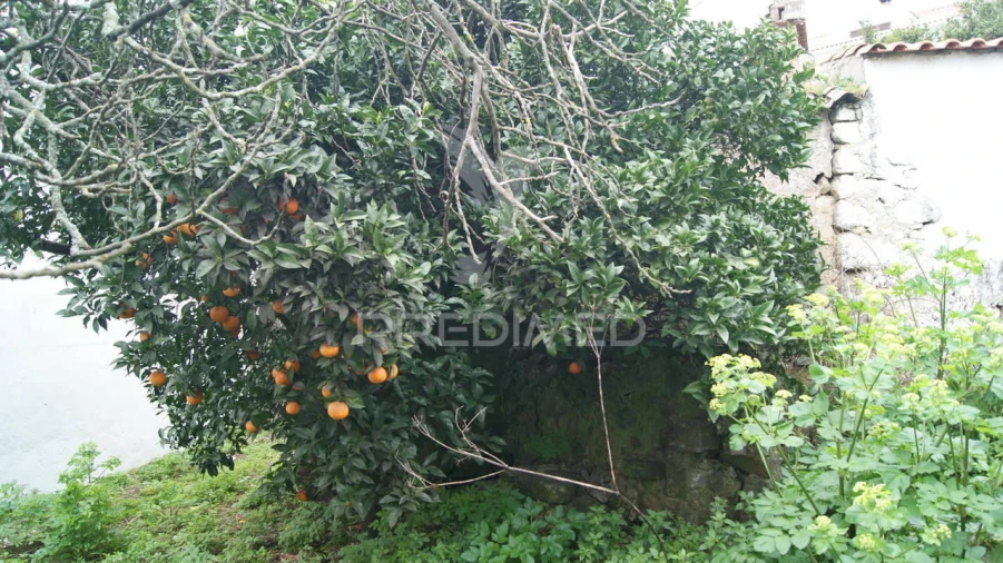 Moradia T6 para Venda em Ribeira de Nisa e Carreiras Foto 11