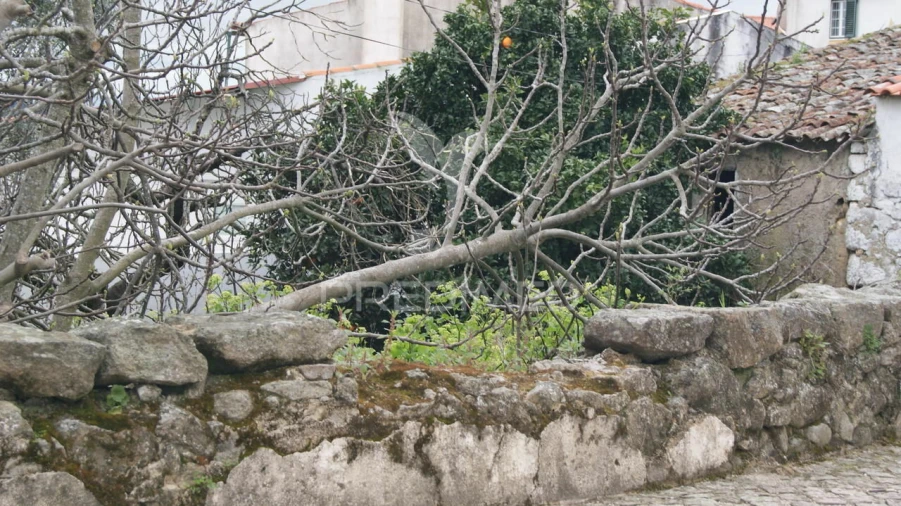 Moradia T6 para Venda em Ribeira de Nisa e Carreiras Foto 6