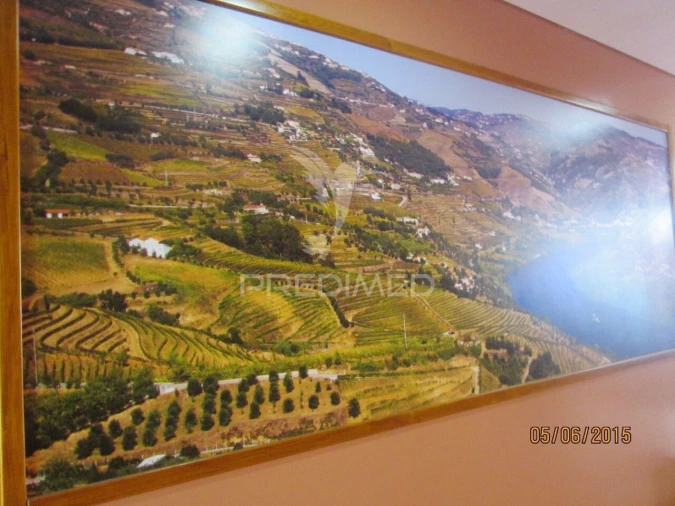 Loja para Trespasse em Mesão Frio (Santo André) Foto 5