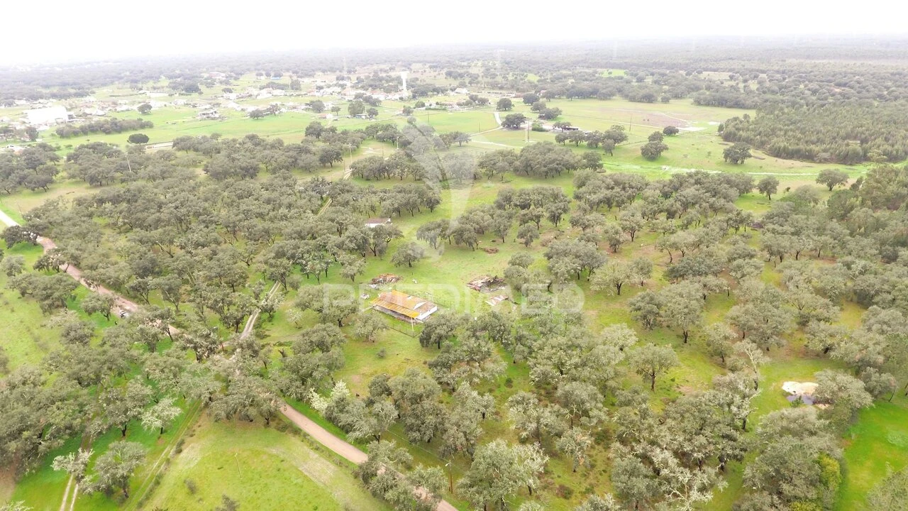 Quinta T3 para Venda em São Domingos e Vale de Água Foto 6