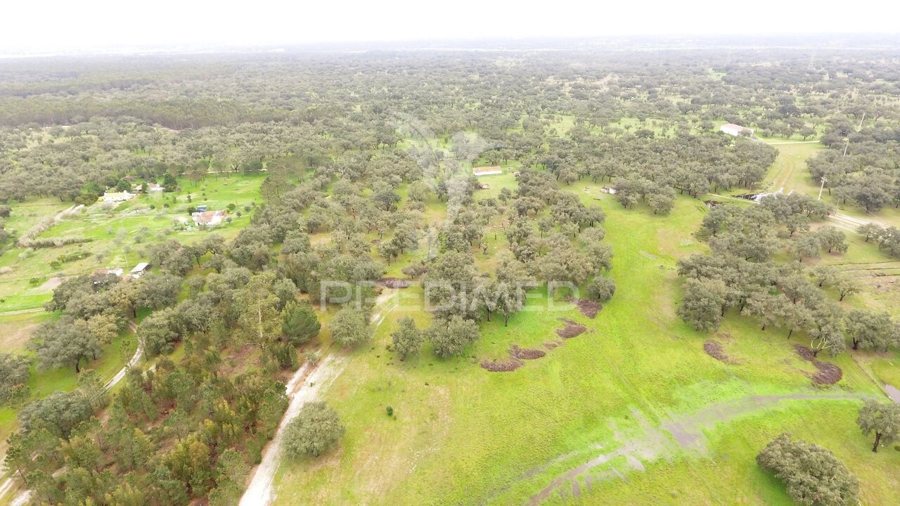 Quinta T3 para Venda em São Domingos e Vale de Água Foto 9
