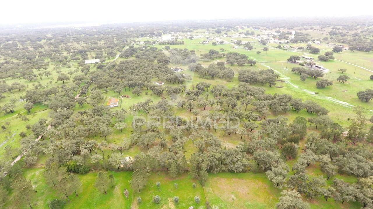 Quinta T3 para Venda em São Domingos e Vale de Água Foto 7